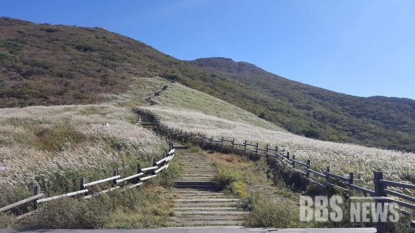 울산 간절곶·태화강십리대숲·영남알프스·대왕암공원 4곳, 올해 한국관광 100선 선정