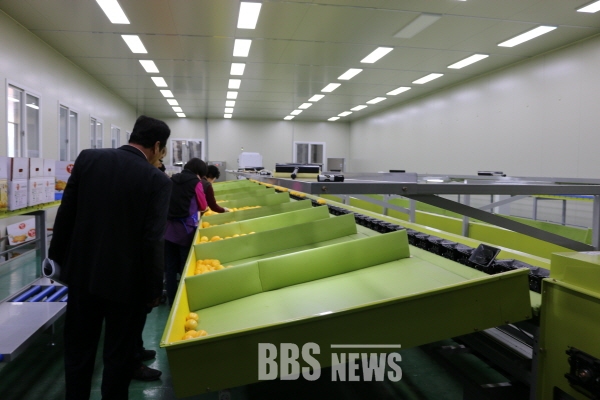 스마트팜 확산···성주참외 이력관리시스템 구축