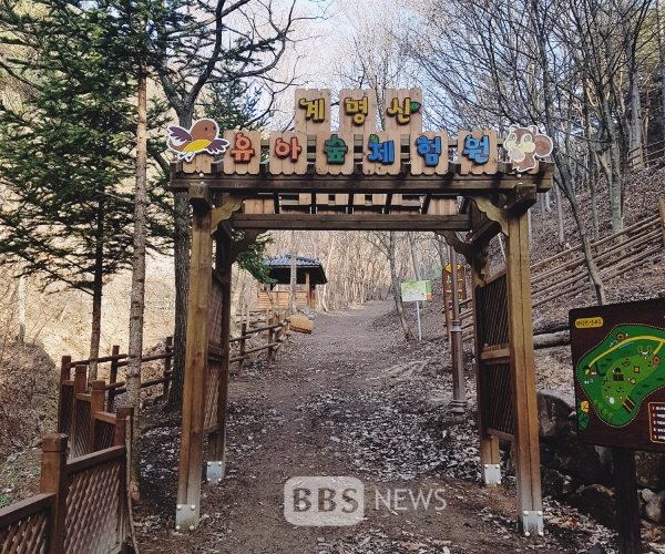 안동시, 유아숲 체험원 운영...경북도청 천년숲·계명산자연휴양림 내