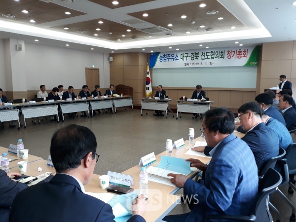 [BBS PLAZA] 경북농협, 농협주유소 대구·경북 선도협의회 정기총회