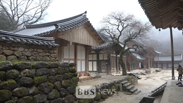 천년고찰로 홍매화 촬영 오세요...지리산 화엄사, 휴대폰 사진 콘테스트
