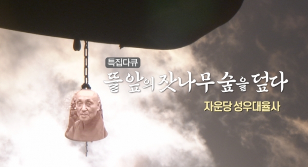 한국불교 대율사 자운스님 특집 다큐 뜰 앞의 잣나무 숲을 덮다