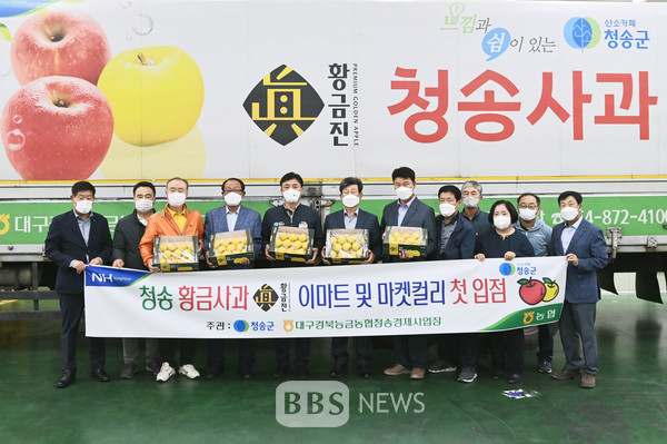 청송황금사과 황금진 첫 출하