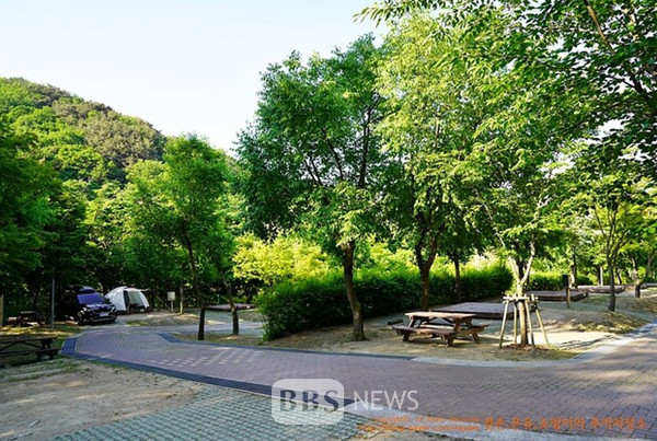 숲속의 안식처 팔공산 야영장 3곳 개장