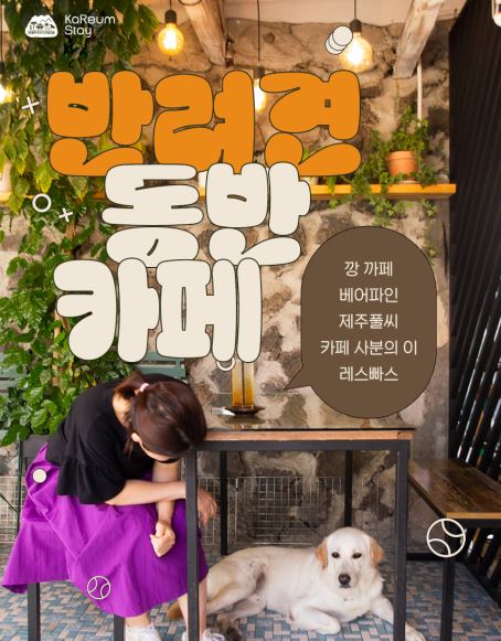 제주관광공사 제주서 반려견과 카페에 가고 싶다면