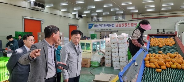 [포토뉴스]박범수 농식품부 차관, 김해 진영읍 단감 생산농가와 APC 찾아