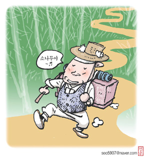 금강소나무숲길 1단계 개통