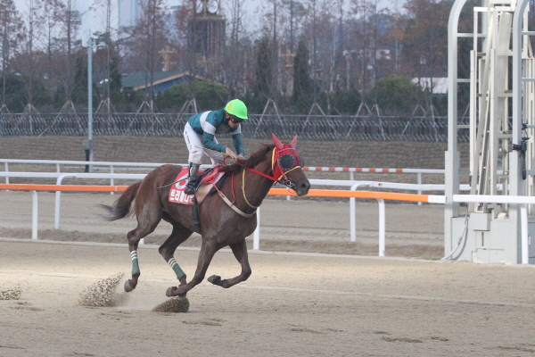 맞수의 대결에서 승리한 트리플나인! 대통령배(GⅠ) 2연패로 고공행진