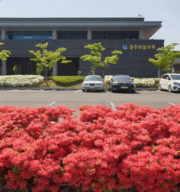 경주하늘마루관리사무소, 예쁜 꽃으로 환하게…