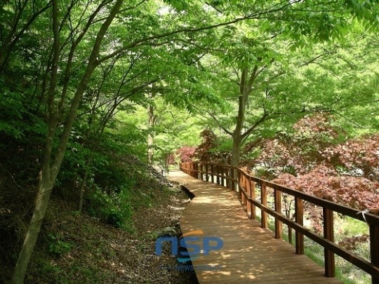 보령시, 성주산자연휴량림 ‘힐링타임’ 개최···손미나 등 토크콘서트
