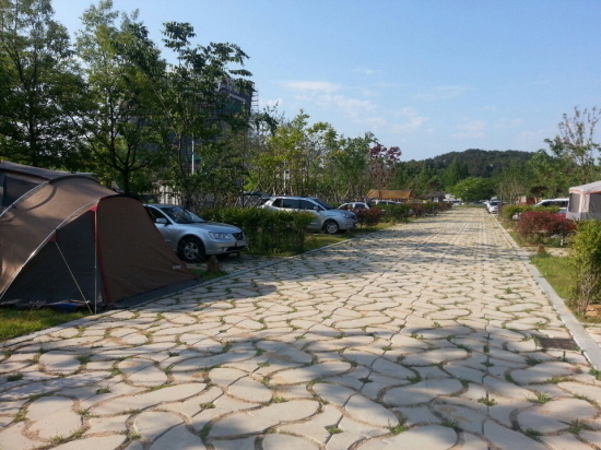 광주시, 광주시민 숲 야영장 개장
