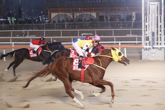  [주간분석] 24억 말싸움 삼관경주 