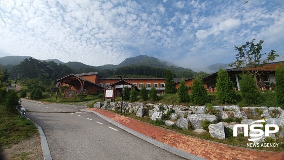  진안군, 환경건강포럼 개최…8일 진안고원 치유숲 