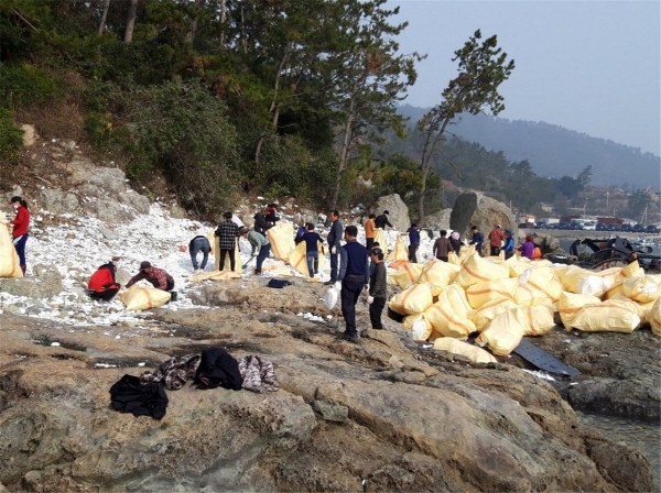  완도군 낭장망협회 등 해양쓰레기 수거 활동 