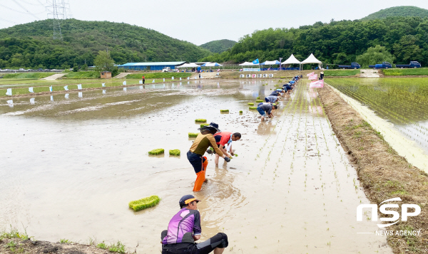 청송군 농민회,  풍년기원제 및 통일쌀 손모내기 행사 개최