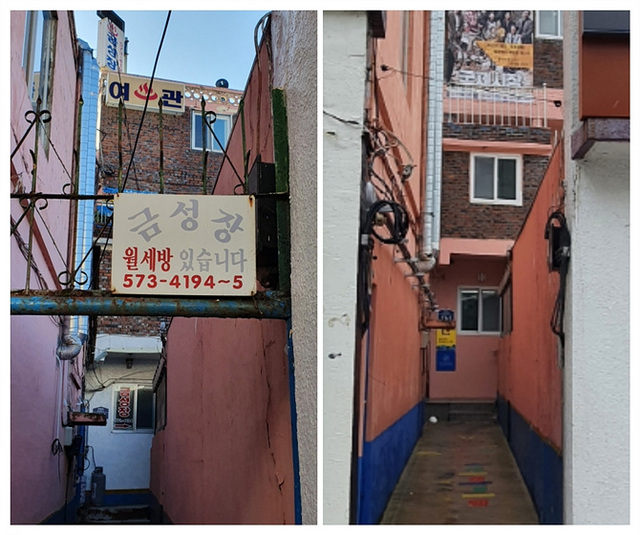 삼척시 성내동늘품보장협의체, ‘대학로 사진전시회’ 개최