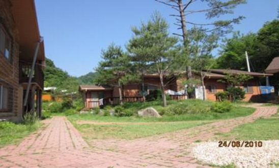 차가버섯 자연요법 암환자 연수원  개원