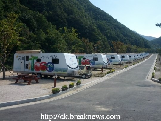 별의 도시 영천 캠핑의 메카로도 인기