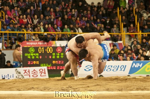 영광군 스포츠마케팅이 절정의 꽃을 피우다