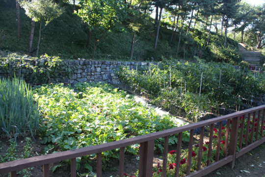 옛집 뜰에 서니 그 세월, 그 손길 오롯해