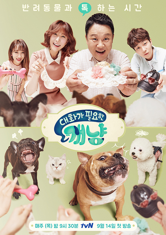 ‘대화가 필요한 개냥’ PD “동물이 주인공 같은 프로그램 만들고팠다”