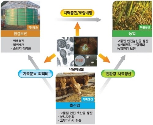 두산에코비즈넷, 돼지 위축성 비염 및 가금 티푸스 원인균 제어에 효과적인 미생물제제 개발