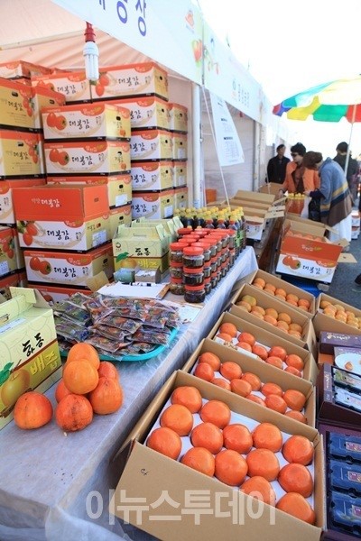 악양대봉감축제