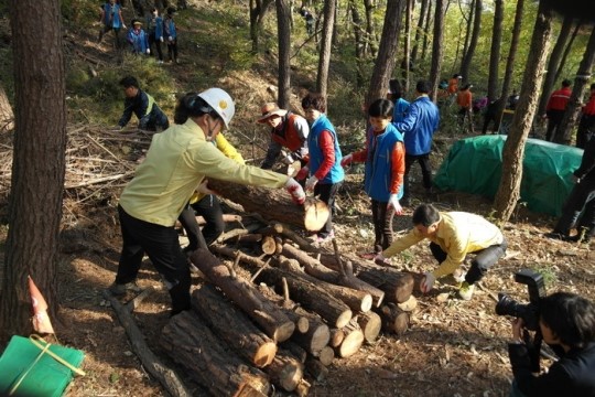 소나무재선충병 긴급방제비 114억 확보