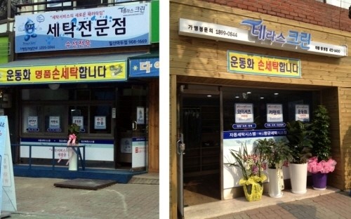 세탁편의점 테라스크린, 고객감사 백화점 상품권 이벤트