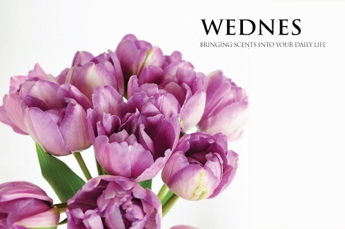 2주마다 플로리스트가 보내는 꽃…플라워 서브스크립션 WEDNES(웬즈)에서 받아보세요