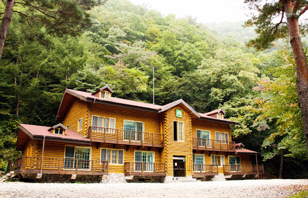 통고산자연휴양림 9월의 추천 휴양림 선정