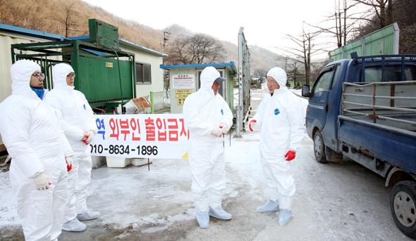 영동군, 구제역 차단…방역활동 총력