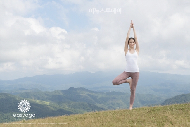 글로벌 요가복 이지요가∙로나제인, 오는 31일까지 할인 프로모션