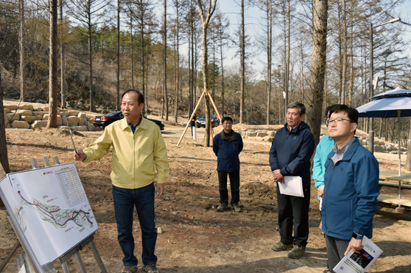 캠핑장 표준모델…국립 숲속야영장 조성 순조