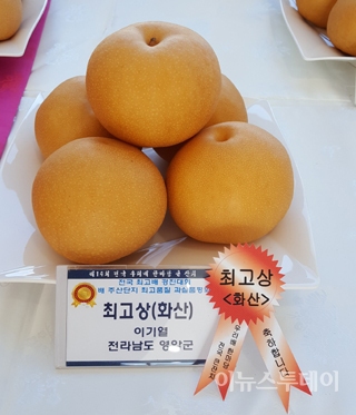영암 ‘이기열 한방배’ 전국 ‘최고’ 배 선정