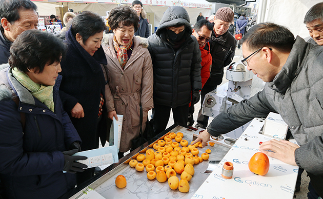 역시 영동곶감…영동곶감축제 관광객 북적 성료