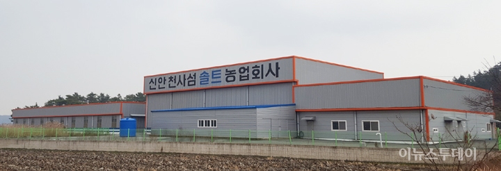 신안군, 천사섬솔트(주) 보조사업 ‘논란’