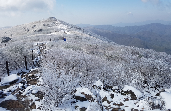 [포토] 5월의 아름다운 태백산 설경