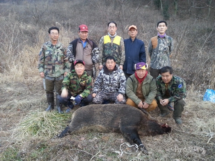 영광군, 농작물 수확기 유해야생동물 포획 총력전