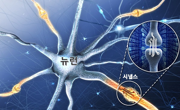 DGIST, 인간 뇌기능 모방한 인공 시냅스 소자 개발