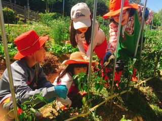 고양시 일산동구보건소, ‘건강쑥쑥 안심텃밭’ 운영 및 리본(Re-born) 플러스 사업 본격 추진