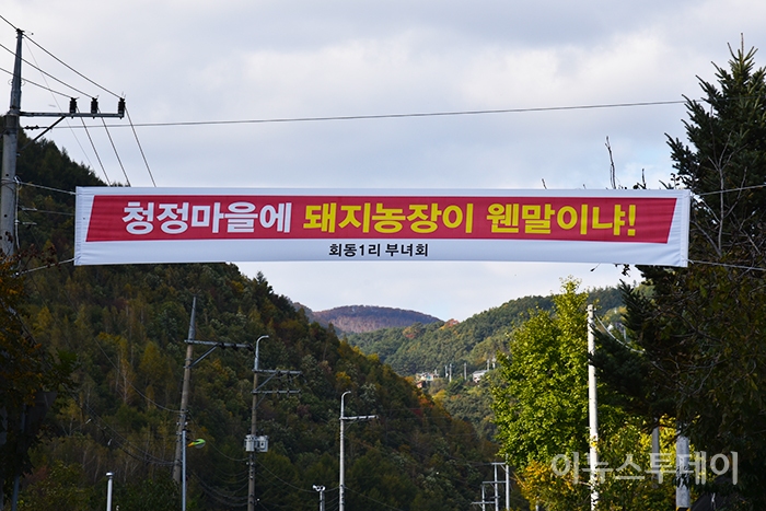 청정마을에 돼지농장이 웬말…평창 미탄주민 강력 반발