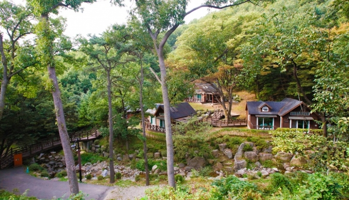 용인자연휴양림 시설 이용료 감면 대상 확대