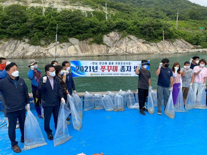 진도군, 어촌뉴딜300사업 모사마을 주꾸미 250만 마리 방류