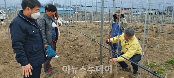 거창군, 미래형 사과 다축과원 조성사업 현장 지도점검