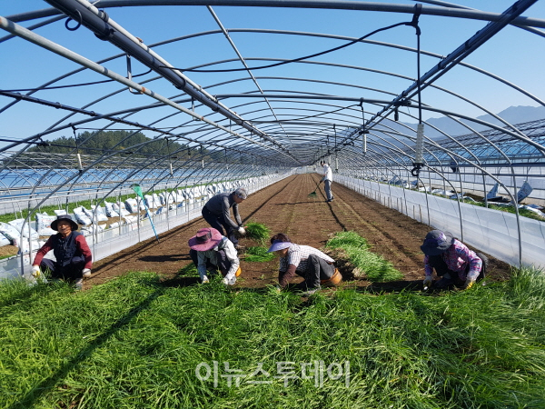 진주시, 농촌인력 부족 해소 방안 마련
