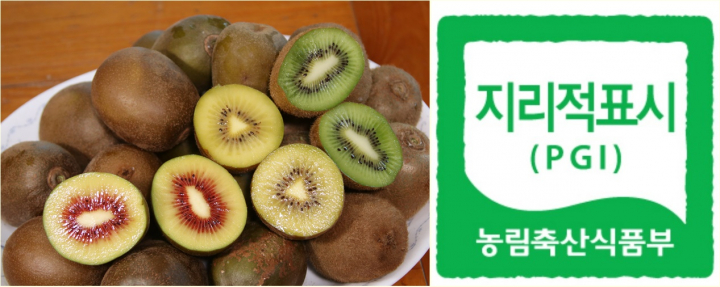보성군, 전국 최대 키위 주산지 보성키위 지리적표시 제111호 등록