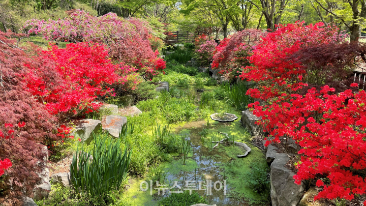 경상남도수목원… 활짝 핀 봄꽃 구경 오세요