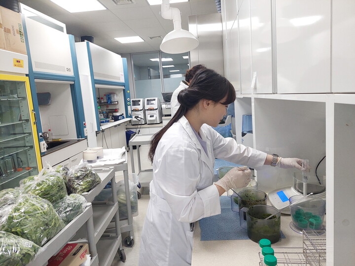 고양특례시, 믿고 먹는 공공 급식 안심 지원 주력