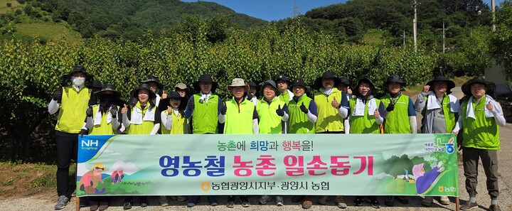 농협 광양시지부, 범농협 영농철 농촌일손돕기 실시